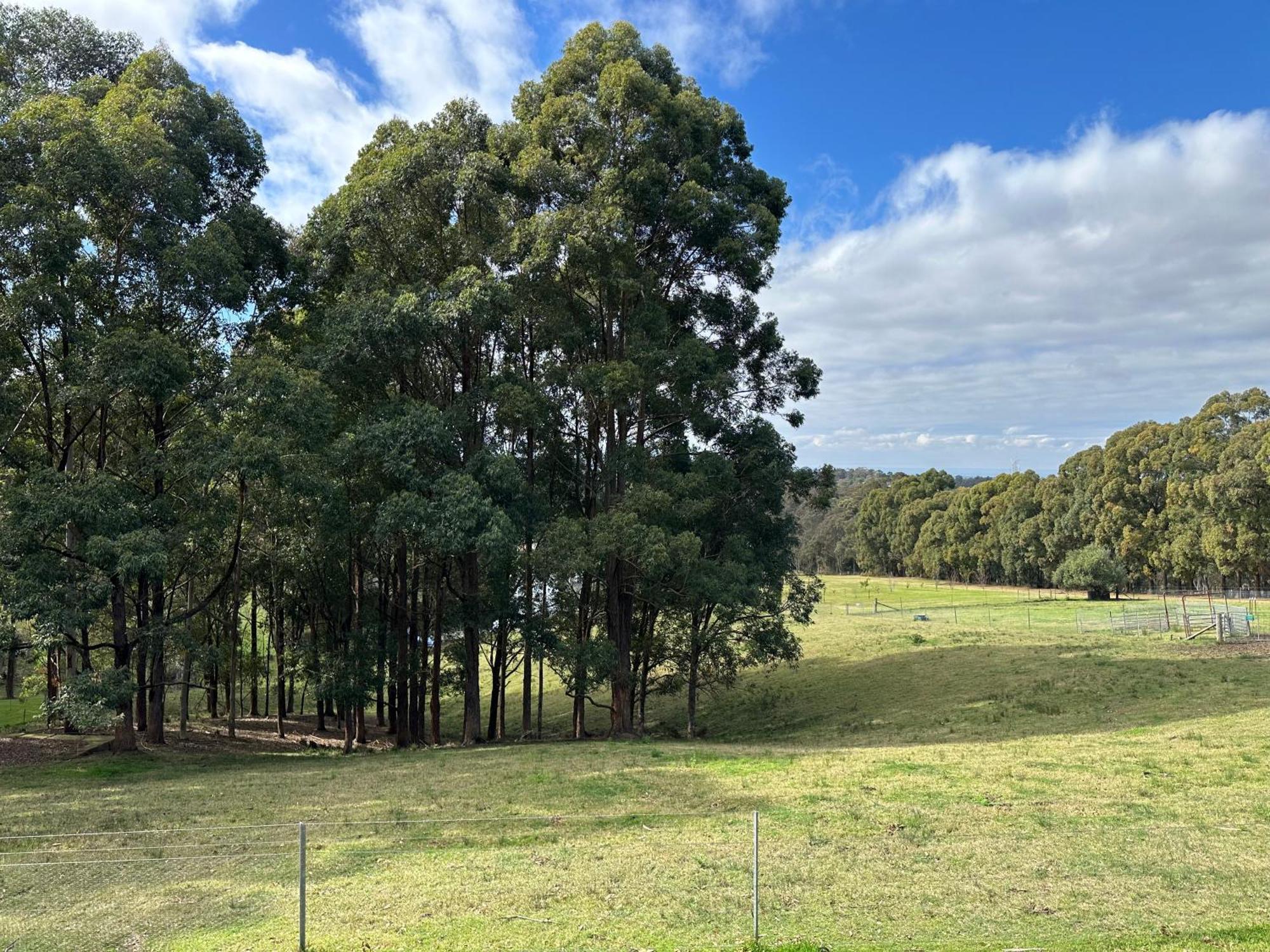 Blueberry Hills On Comleroy Farmstay - Self-Contained Cottages Kurrajong Екстериор снимка
