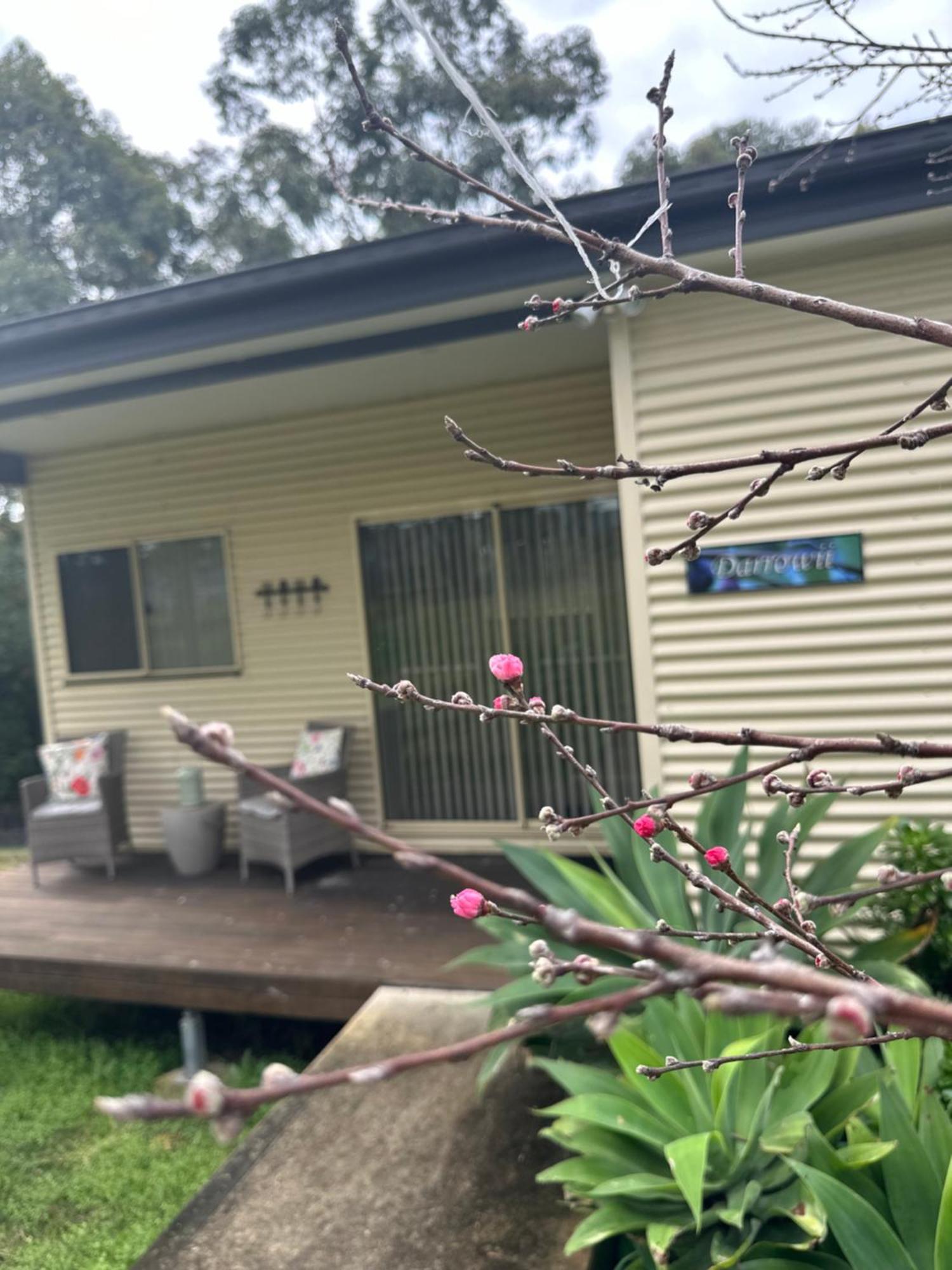 Blueberry Hills On Comleroy Farmstay - Self-Contained Cottages Kurrajong Екстериор снимка