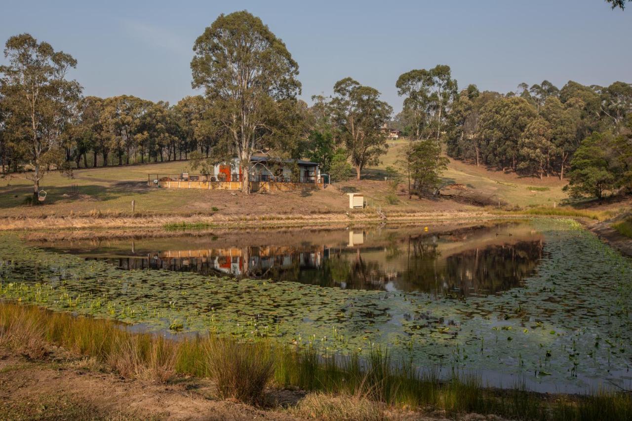 Blueberry Hills On Comleroy Farmstay - Self-Contained Cottages Kurrajong Екстериор снимка