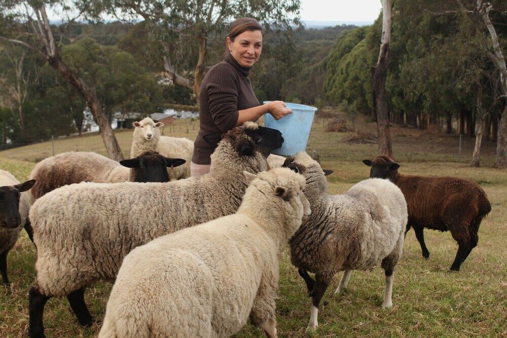 Blueberry Hills On Comleroy Farmstay - Self-Contained Cottages Kurrajong Екстериор снимка